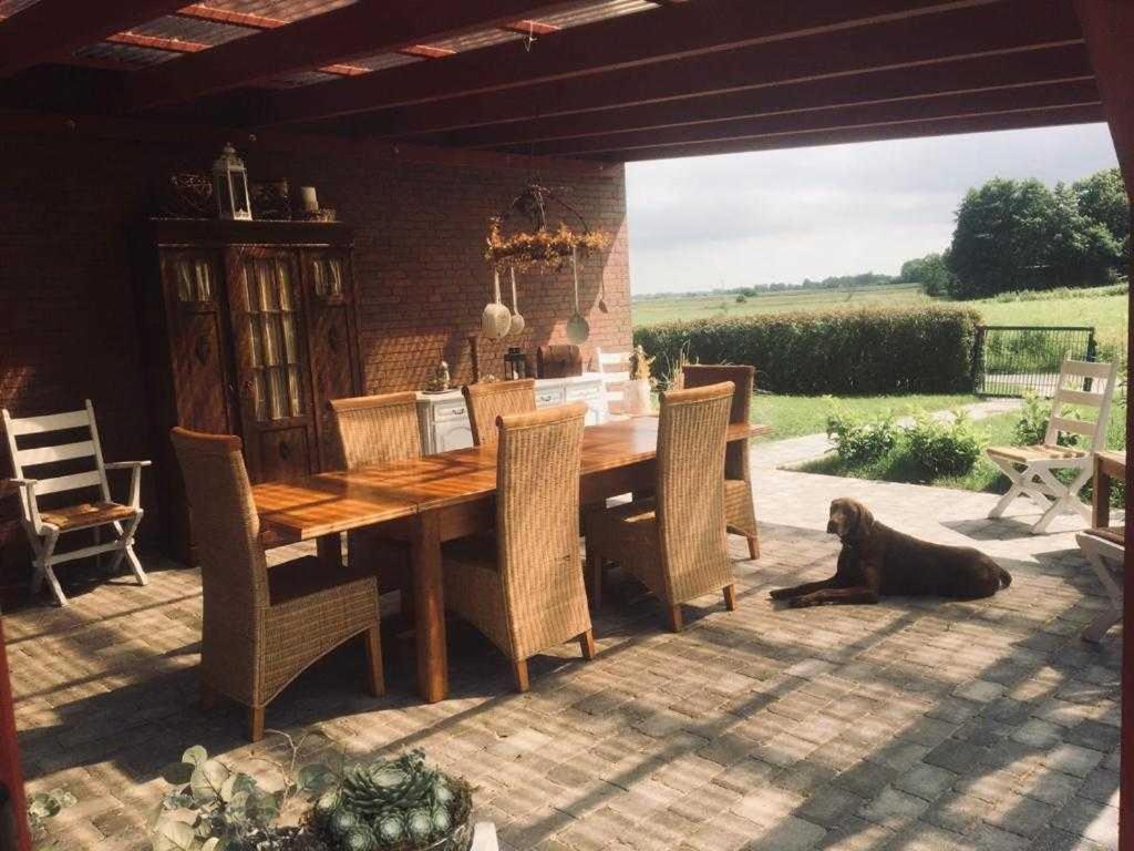Apartamento Higgen Adamla Stedesdorf Exterior foto